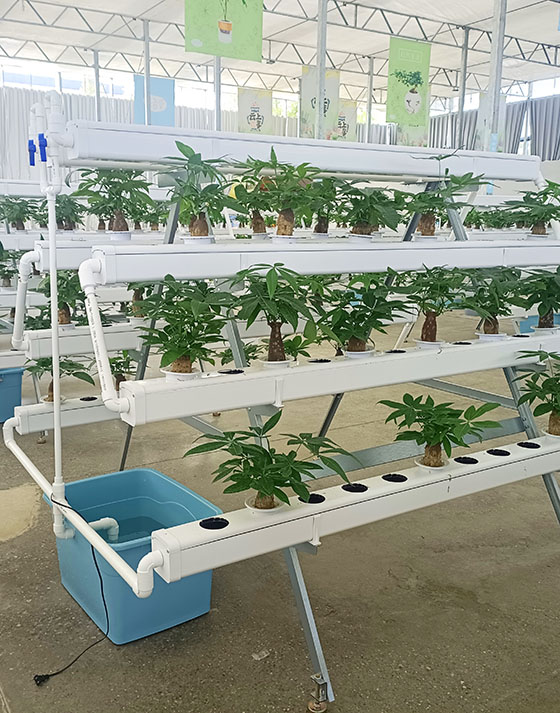 Hydroculture Plant Stand