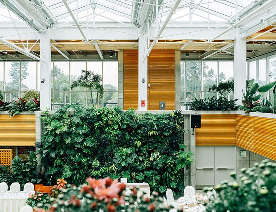 Plant wall: Green art on the wall