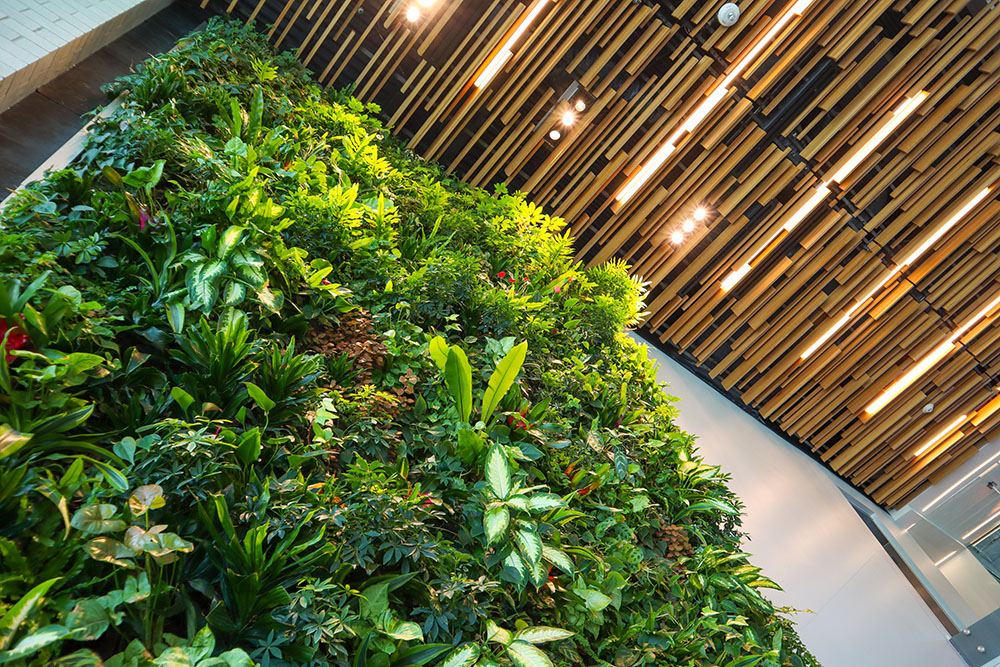 Plant wall: Green art on the wall