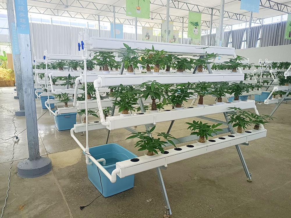 Hydroculture Plant Stand